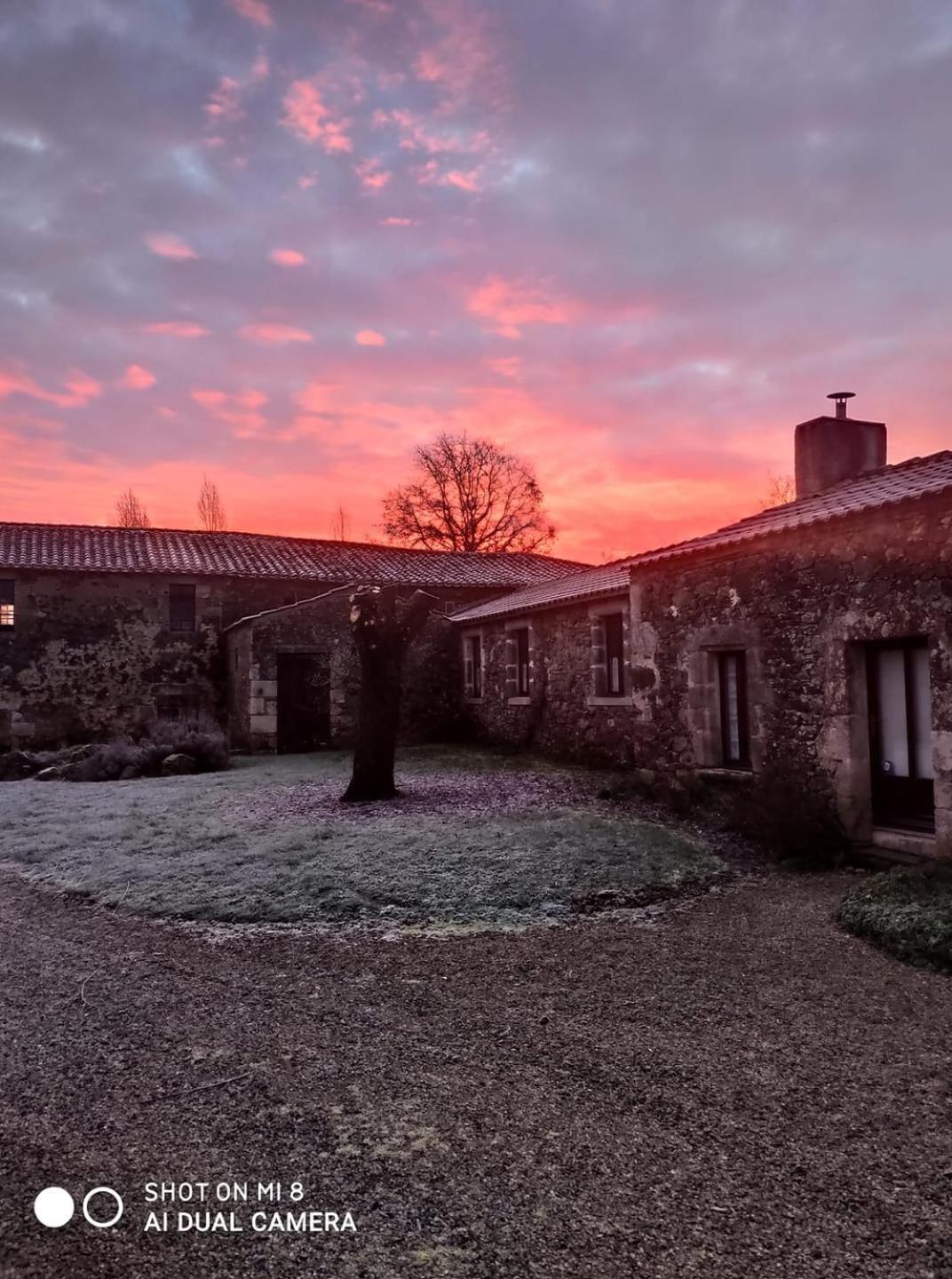 Chambre D'Hote Manoir De La Baudonniere Monsireigne Dış mekan fotoğraf