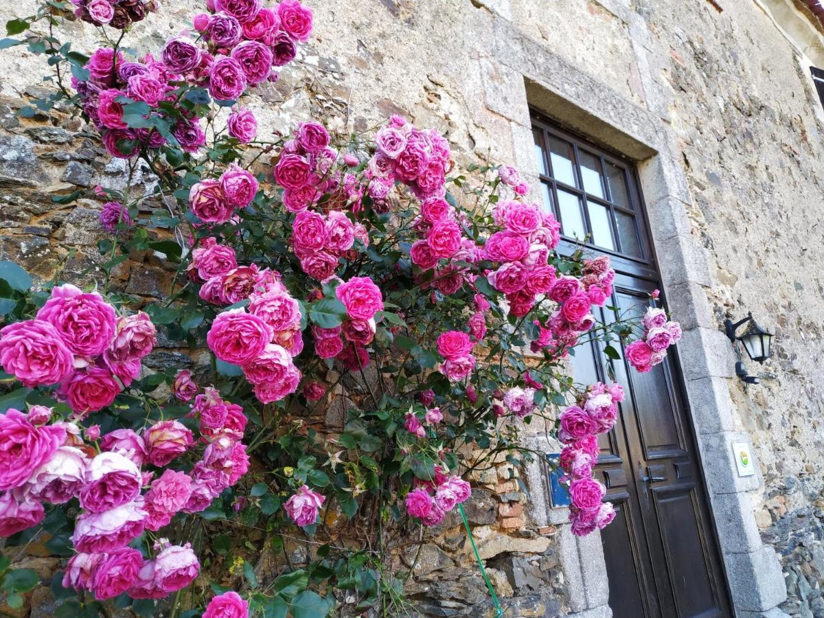 Chambre D'Hote Manoir De La Baudonniere Monsireigne Dış mekan fotoğraf