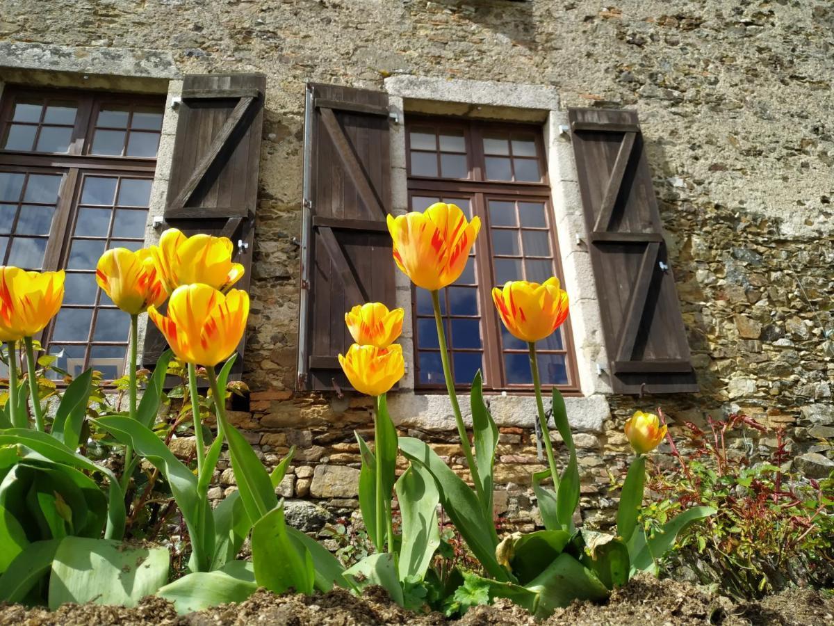 Chambre D'Hote Manoir De La Baudonniere Monsireigne Dış mekan fotoğraf